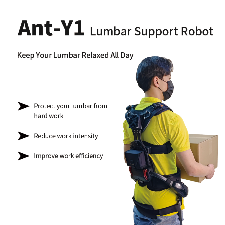 Ant-Y1 Lumbar Support Robot